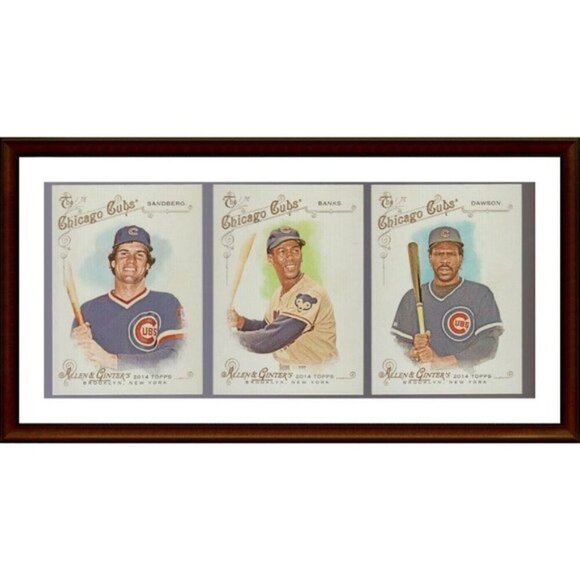 2014 Topps Allen & Ginter Chicago Cubs 8 Card Team Set Banks Sandberg Dawson - Picture 3 of 3